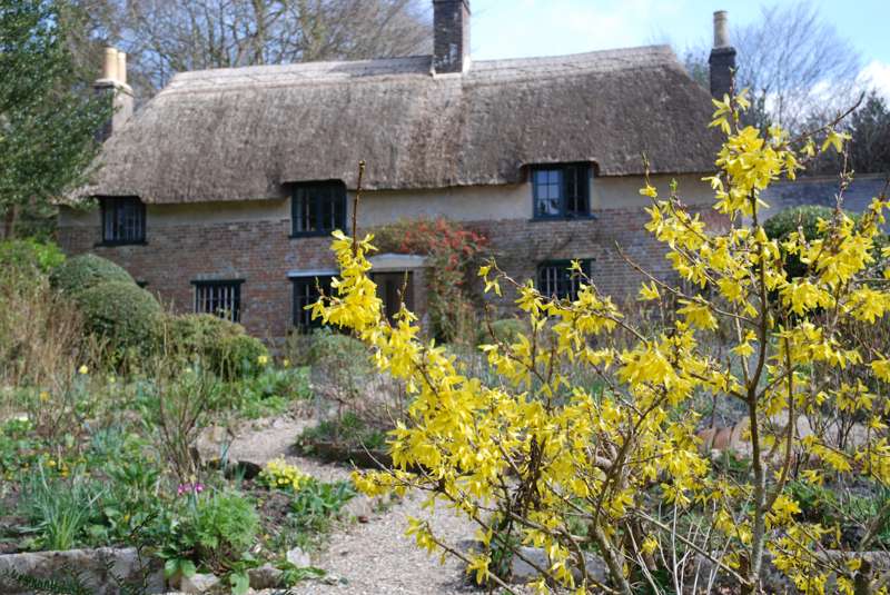 West Dorset Holidays and Places to Stay in West Dorset